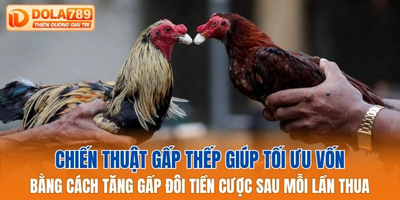 Chiến thuật gấp thếp giúp tối ưu vốn hiệu quả