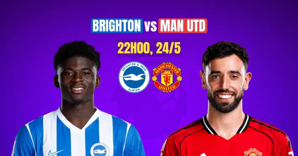 Brighton vs Man Utd
